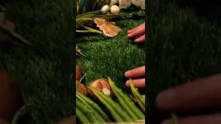 Thumbnail: ASMR Journey to the World of Fungi (full video available on my channel)