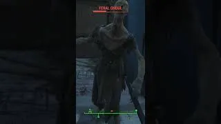 Thumbnail: I Got Hit By a Bazooka #bazooka #fallout4
