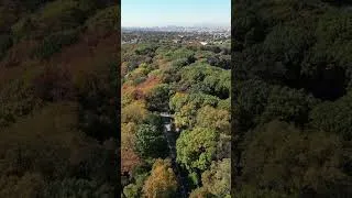 Thumbnail: Dji Mini 3 pro - fall in New York 🍁