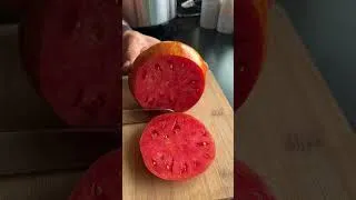 Thumbnail: Look at this tomato! 🍅 🤩 (variety in comments)