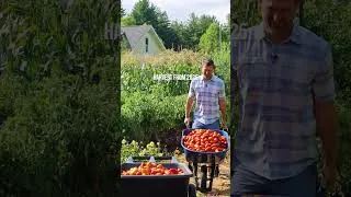 Thumbnail: 1 min Garden Tour, SW Ohio, Zone 6b (May 25th)