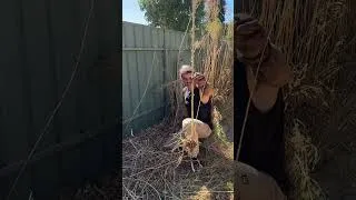 Thumbnail: Trying To Sell A FREE Garden Service Be Like...