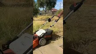 Thumbnail: I Thought This Yard Was Safe