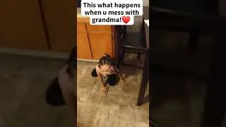 Thumbnail: #funny #comedy