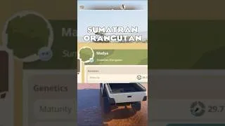 Thumbnail: ORANGUTAN SPECIES CONFIRMED FOR PLANET ZOO 2 | Planet Zoo 2 News 🦧