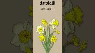 Thumbnail: the Victorian language of flowers #history #victorianengland #shorts