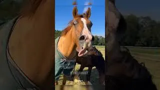 Thumbnail: Big fails 😅🤣😁 #shortsfails #shortvideo #failsvideo