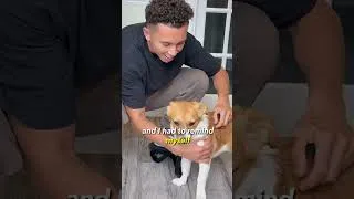 Thumbnail: Finding this rescue puppy a new home...