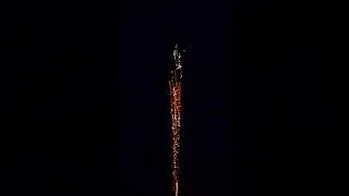 Thumbnail: Weeping Willow // Celtic Fireworks