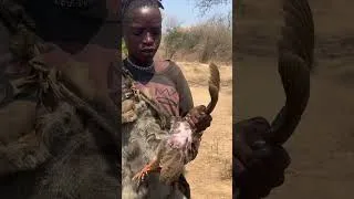 Thumbnail: Big Game Hunt by the Hadzabe! 🔥 #Shorts #Survival #Hadzabe #Nature #Adventure