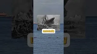 Thumbnail: One Decision Sank the Titanic — Not the Iceberg