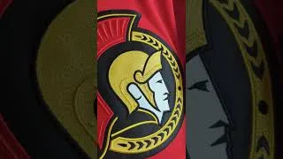 Thumbnail: New Sens third added to the collection. #hockey #nhl
