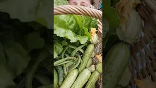 Thumbnail: Garden Harvest from Nature's Vegetable Isle 🥒 #harvest #gardening #gardenharvest