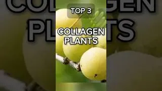 Thumbnail: TOP 3 Collagen Plants for Younger Skin 🌿