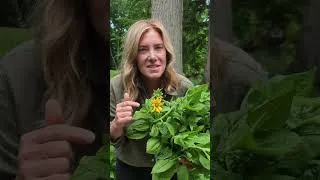 Thumbnail: The perfect perennial does exist #plants #shorts