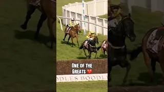 Thumbnail: Wishing Galopin Des Champs a very happy retirement after an incredible career 🥰 #horse