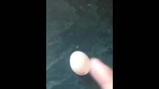 Thumbnail: Howtobasic fan video How to crack open an egg