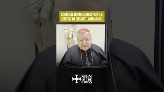 Thumbnail: Cardinal Burke: "Fight and suffer" for the traditional Latin Mass