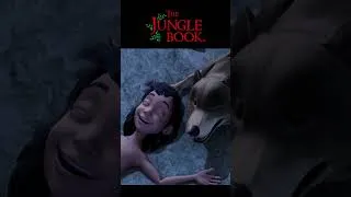 Thumbnail: THEY ARE BROTHERS!  | The Jungle Book | English Stories | Powerkids World #shorts #kids