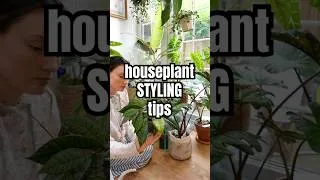 Thumbnail: More PLANT STYLING tips!! 🌿 #houseplants #styling #homedecor #plantstyling #interiordesign #plants