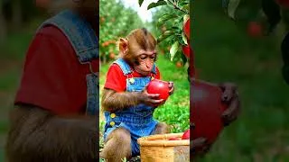 Thumbnail: Monkey Nana Rescues the Parrot in the Apple Garden 🍎🐒🦜 – NANA MONKEY LIFE
