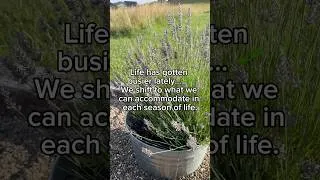 Thumbnail: Grow What Fits Your Season of Life! #homesteading #gardeninglife #simplelife
