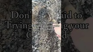 Thumbnail: Everyone starts somewhere! #frugalliving #selfsufficiency #garden