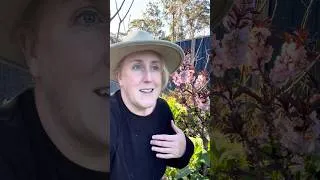 Thumbnail: The algorithm is at it again! #gardening