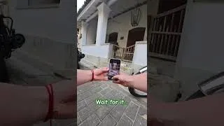 Thumbnail: Playing with my Insta360 Go3 whilst strolling the streets of Galle Sri Lanka - cute kittens!