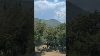 Thumbnail: This Is What Peace Sounds Like 🔔🐑🌿 #naturesounds #nature #shorts
