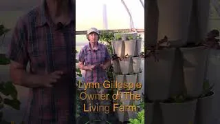 Thumbnail: One GreenStalk Planting Tip Most Gardeners Miss #GreenStalk  #VerticalGardening