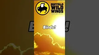 Thumbnail: Fascinating Bird Facts! #2 #shorts #shortsfeed #funny #facts #thelivingperson #birds