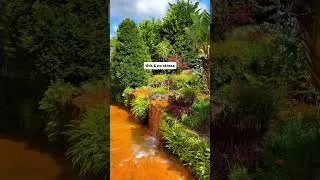 Thumbnail: The most beautiful hot springs in the Azores 😍 📍Poca da Dona Beija, Sao Miguel