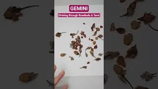 Thumbnail: GEMINI - Weekly Predictions - AUGUST 25th-31st