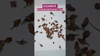 Thumbnail: AQUARIUS - Weekly Predictions - AUGUST 25th-31st