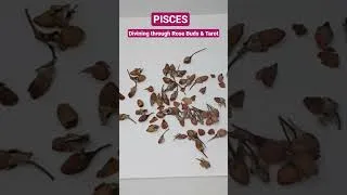Thumbnail: PISCES - Weekly Predictions - AUGUST 25th-31st
