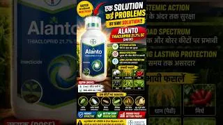 Thumbnail: Bayer Alanto 240 | Thiacloprid 21.7% Sc | Systemic insecticide |  Praveen Thakur