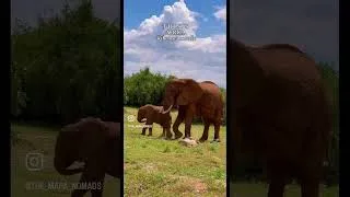 Thumbnail: Kenya is more than a place - It’s a story untold.