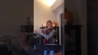 Thumbnail: Hedwig's theme from Harry Potter/ flute version