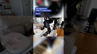 Thumbnail: Key signatures part 2 #minorscales #readmusic #piano #musicscales #trebleclef #music #bassclef