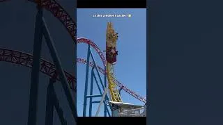 Thumbnail: The Flush Speed Force at Mogie World
