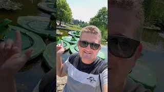Thumbnail: We’re back at Alton Towers and it’s absolutely roasting 🥵 #altontowers #themepark #rides
