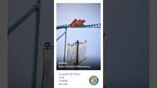 Thumbnail: Timing the Perfect Shot | Griffon at Busch Gardens #shorts #buschgardenswilliamsburg