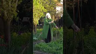 Thumbnail: The perfect spot for a garden obelisk #gardentips #landscaping