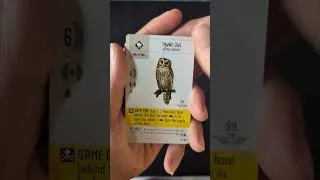 Thumbnail: Wingspan Fan-Designed pack opening: British Birds #stonemaiergames #wingspan #boardgames
