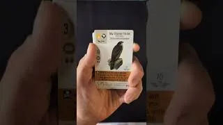 Thumbnail: Wingspan Fan-Designed pack opening: Birds of New Zealand #stonemaiergames #wingspan #boardgames