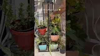 Thumbnail: Life of a plant lover 🪴❤️😘 #minimalisthome #minivlog #cleanwithme #dailyroutine #plantlover