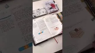 Thumbnail: November journal Flipthrough in my Hobonichi cousin 💕