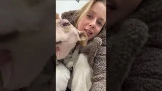 Thumbnail: She Could Barely Lift Her Head Under the Weight of the Tumor, But She Never Stopped Fighting!