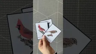 Thumbnail: How to Present 3-Part Language Cards to Enrich Vocabulary and Develop Language Skills!  #montessori